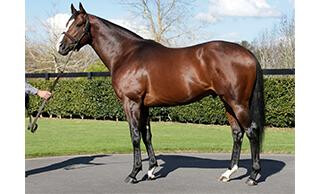 Belardo who shuttles to Haunui Farm for a service fee of $12,000.